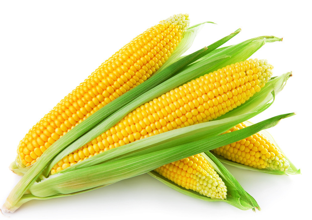 2018年8月14日全国各地玉米价格最新行情一览