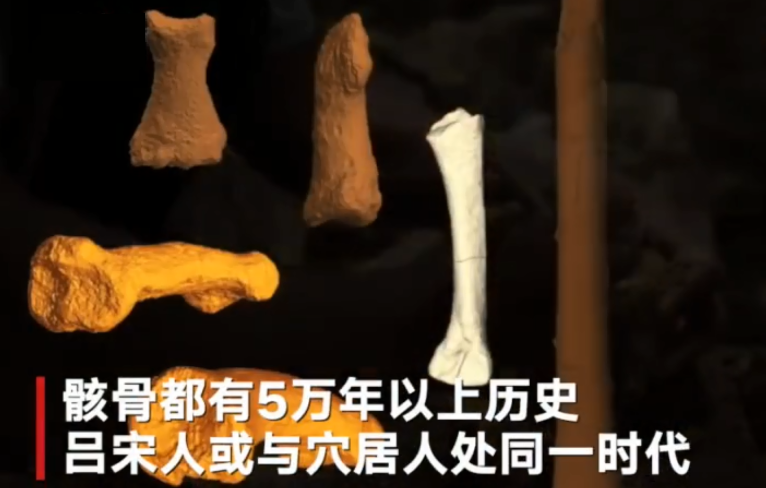 新人类物种现身菲律宾 “吕宋古人类”化石长啥样？