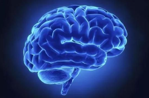 人类大脑要到30岁后才成熟？你的大脑“成年”了吗