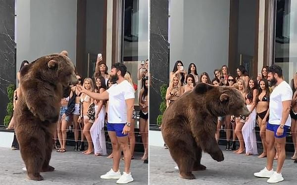 美国富豪派对喂食棕熊